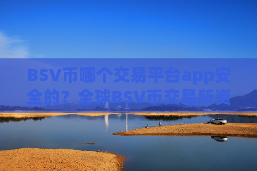 BSV币哪个交易平台app安全的?全球BSV币交易所资产排名