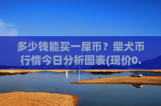 多少钱能买一屎币?柴犬币行情今日分析图表(现价0.00016091元)