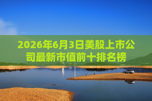 2026年6月3日美股上市公司最新市值前十排名榜
