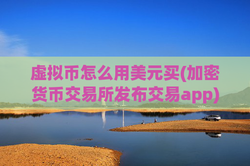 虚拟币怎么用美元买(加密货币交易所发布交易app)