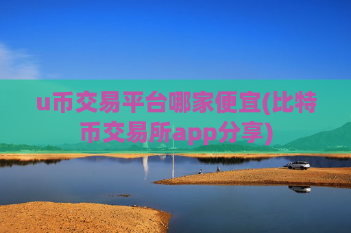 u币交易平台哪家便宜(比特币交易所app分享)