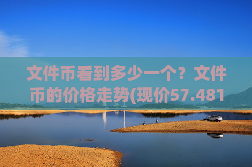 文件币看到多少一个?文件币的价格走势(现价57.4818元)