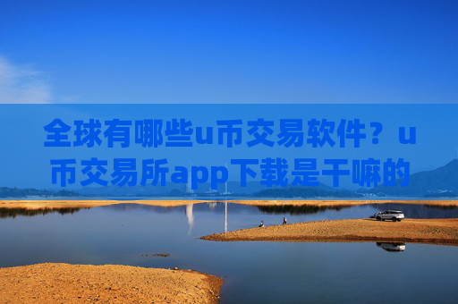 全球有哪些u币交易软件?u币交易所app下载是干嘛的