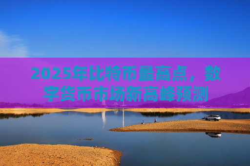 2025年比特币最高点,数字货币市场新高峰预测