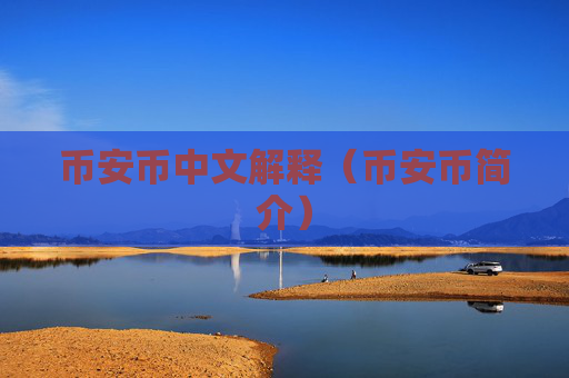 币安币中文解释(币安币简介)