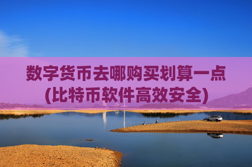 数字货币去哪购买划算一点(比特币软件高效安全)