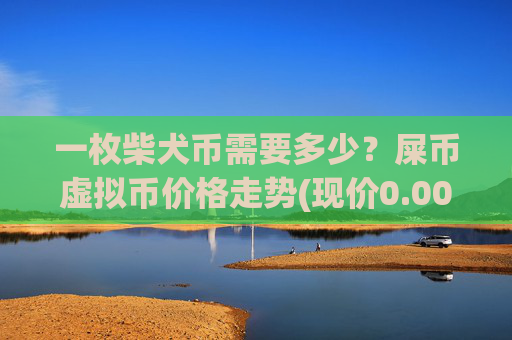 一枚柴犬币需要多少？屎币虚拟币价格走势(现价0.00021205元)