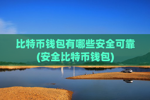 比特币钱包有哪些安全可靠(安全比特币钱包)