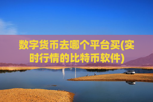 数字货币去哪个平台买(实时行情的比特币软件)