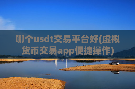 哪个usdt交易平台好(虚拟货币交易app便捷操作)