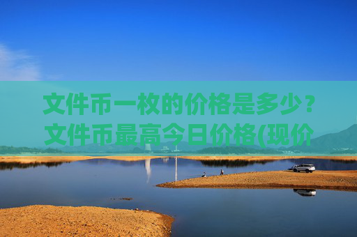 文件币一枚的价格是多少?文件币最高今日价格(现价57.2056元)