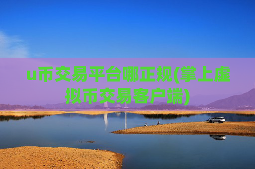 u币交易平台哪正规(掌上虚拟币交易客户端)