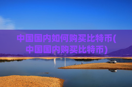 中国国内如何购买比特币(中国国内购买比特币)