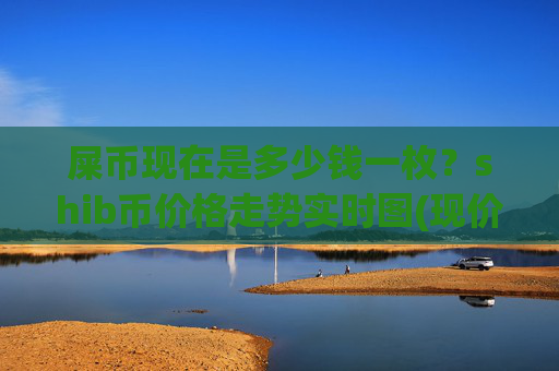 屎币现在是多少钱一枚?shib币价格走势实时图(现价0.00021576元)