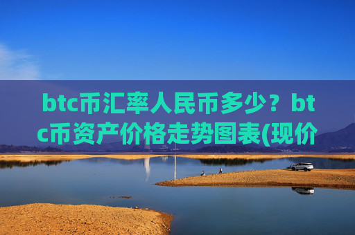 btc币汇率人民币多少？btc币资产价格走势图表(现价689781.85元)