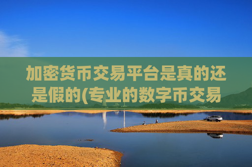 加密货币交易平台是真的还是假的(专业的数字币交易平台导航)