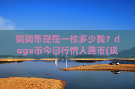 狗狗币现在一枚多少钱?doge币今日行情人民币(现价2.9343元)