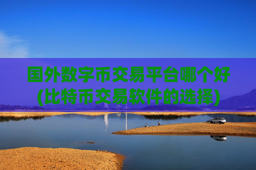 国外数字币交易平台哪个好(比特币交易软件的选择)