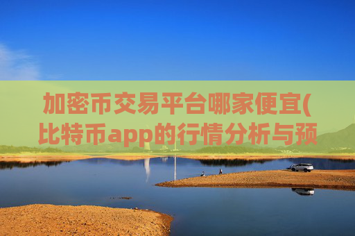 加密币交易平台哪家便宜(比特币app的行情分析与预测)