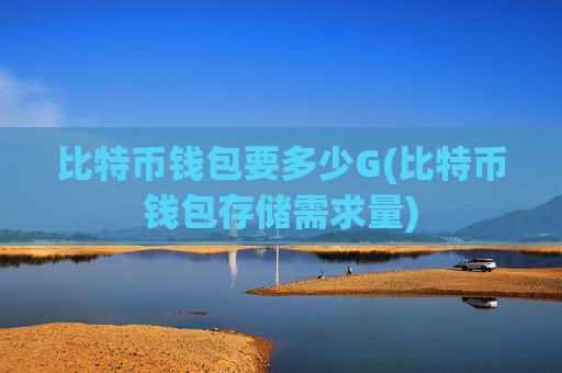比特币钱包要多少G(比特币钱包存储需求量)