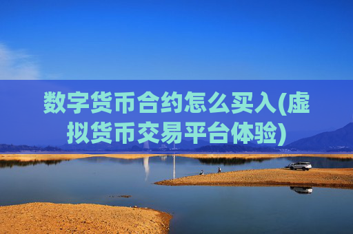 数字货币合约怎么买入(虚拟货币交易平台体验)