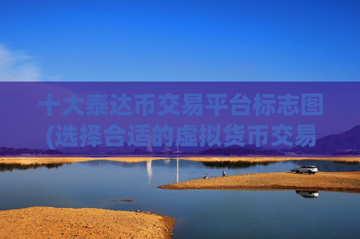 十大泰达币交易平台标志图(选择合适的虚拟货币交易软件)