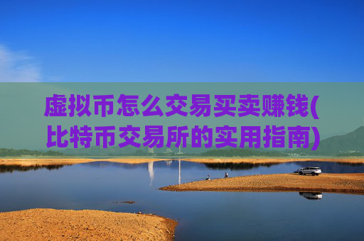 虚拟币怎么交易买卖赚钱(比特币交易所的实用指南)
