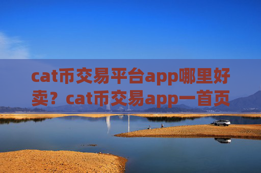 cat币交易平台app哪里好卖?cat币交易app一首页