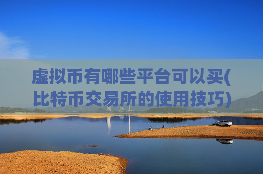 虚拟币有哪些平台可以买(比特币交易所的使用技巧)