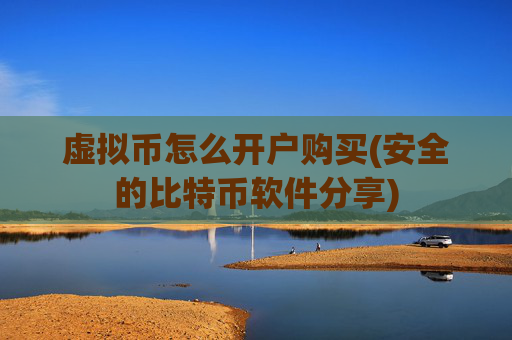 虚拟币怎么开户购买(安全的比特币软件分享)