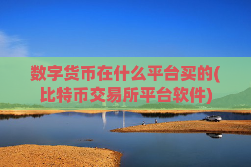 数字货币在什么平台买的(比特币交易所平台软件)