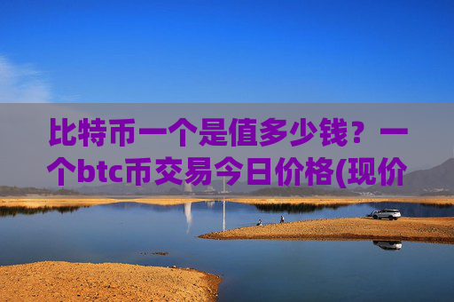 比特币一个是值多少钱?一个btc币交易今日价格(现价697173.5元)