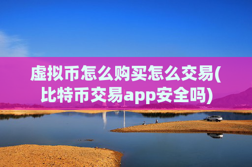 虚拟币怎么购买怎么交易(比特币交易app安全吗)