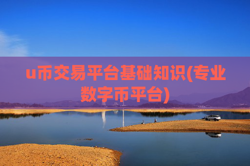 u币交易平台基础知识(专业数字币平台)