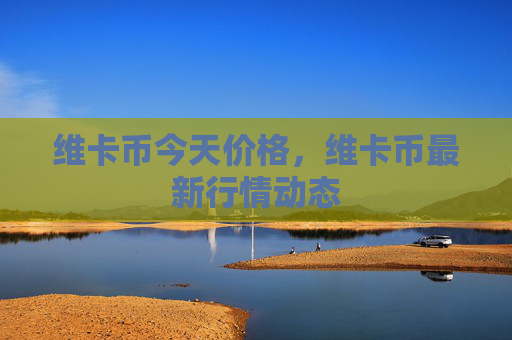 维卡币今天价格,维卡币最新行情动态