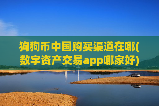狗狗币中国购买渠道在哪(数字资产交易app哪家好)