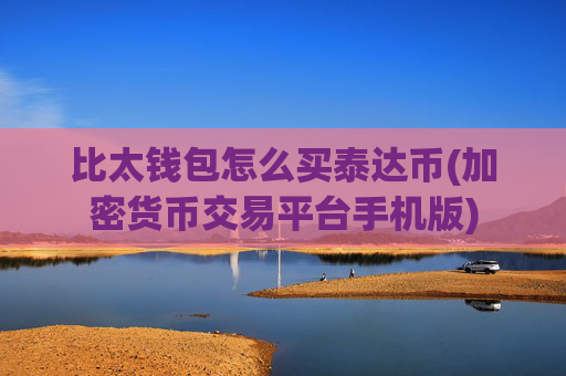 比太钱包怎么买泰达币(加密货币交易平台手机版)