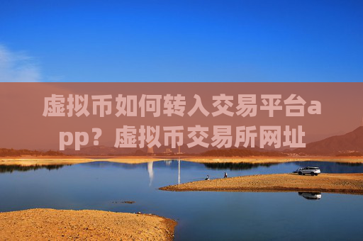 虚拟币如何转入交易平台app?虚拟币交易所网址