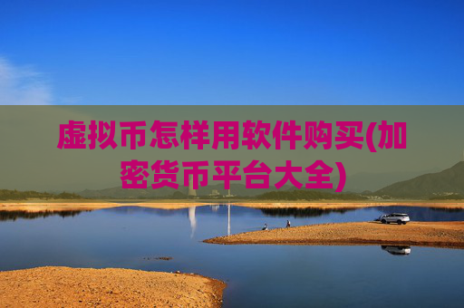 虚拟币怎样用软件购买(加密货币平台大全)