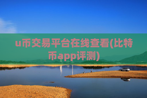 u币交易平台在线查看(比特币app评测)