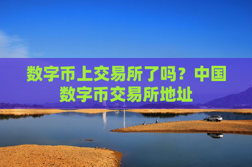 数字币上交易所了吗?中国数字币交易所地址