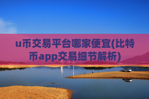 u币交易平台哪家便宜(比特币app交易细节解析)