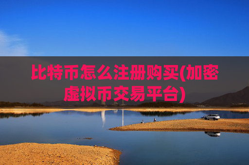 比特币怎么注册购买(加密虚拟币交易平台)