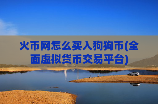 火币网怎么买入狗狗币(全面虚拟货币交易平台)