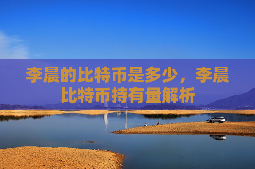 李晨的比特币是多少,李晨比特币持有量解析