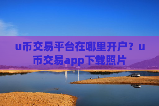u币交易平台在哪里开户？u币交易app下载照片