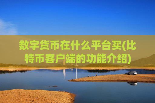 数字货币在什么平台买(比特币客户端的功能介绍)
