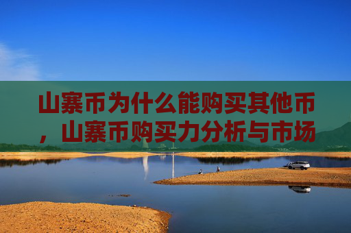 山寨币为什么能购买其他币,山寨币购买力分析与市场影响