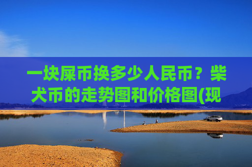 一块屎币换多少人民币?柴犬币的走势图和价格图(现价0.00021949元)