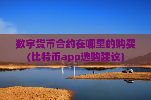 数字货币合约在哪里的购买(比特币app选购建议)